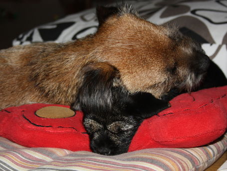 IMG_0794-20101005.jpg